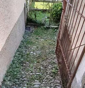 Foto annuncio 5