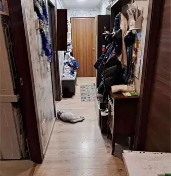 Foto annuncio 8