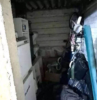 Foto annuncio 12