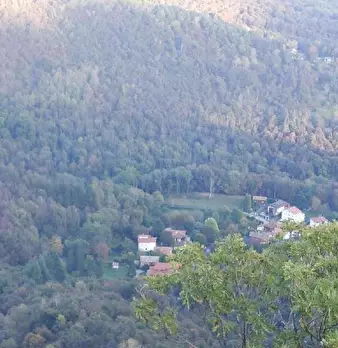 Foto annuncio 2