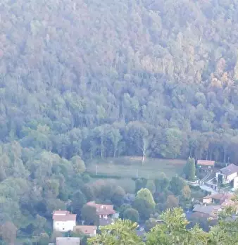 Foto annuncio 4