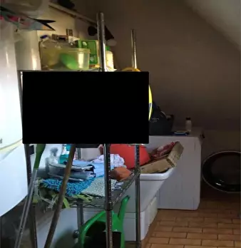 Foto annuncio 8