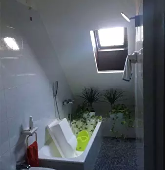 Foto annuncio 11