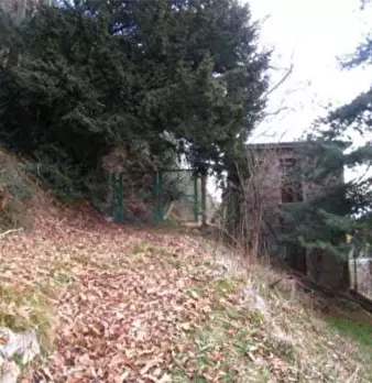 Foto annuncio 96