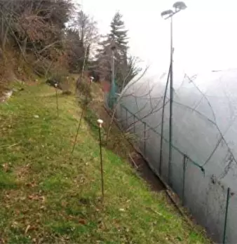 Foto annuncio 99