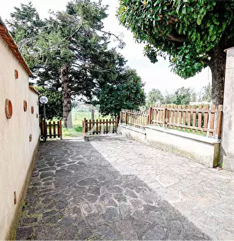 Foto annuncio 1