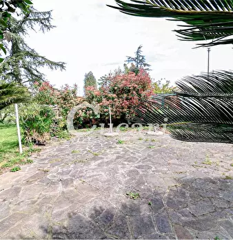 Foto annuncio 19