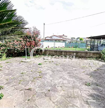 Foto annuncio 21