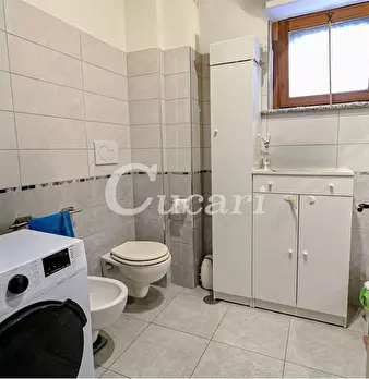 Foto annuncio 11