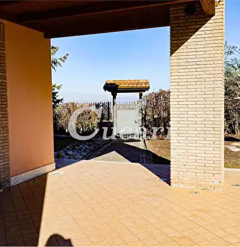Foto annuncio 51