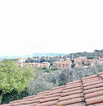Foto annuncio 23