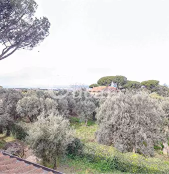 Foto annuncio 25