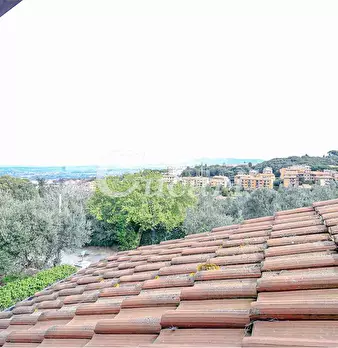 Foto annuncio 50