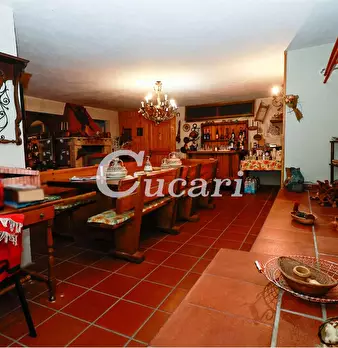 Foto annuncio 63
