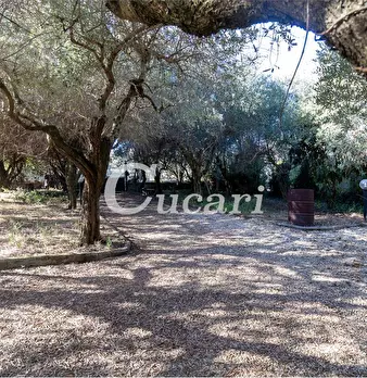 Foto annuncio 11