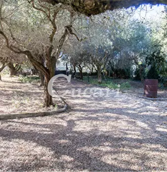 Foto annuncio 14