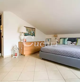 Foto annuncio 18