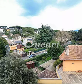 Foto annuncio 36