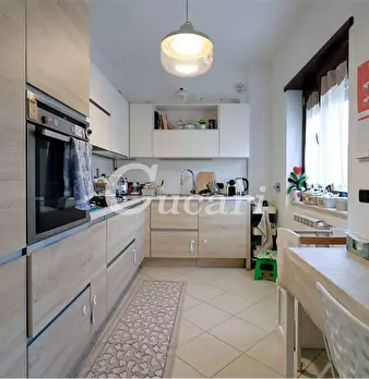 Foto annuncio 43