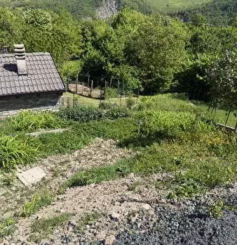 Foto annuncio 4