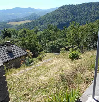 Foto annuncio 21