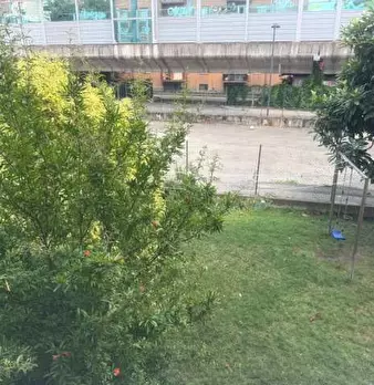 Foto annuncio 17