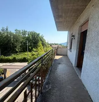 Foto annuncio 12