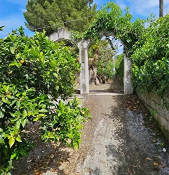 Foto annuncio 16