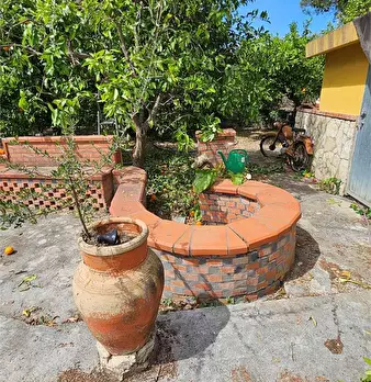 Foto annuncio 18