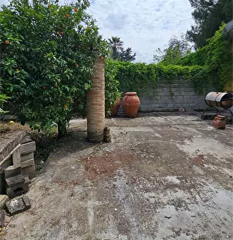 Foto annuncio 24
