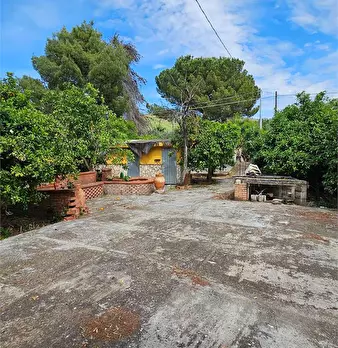 Foto annuncio 27