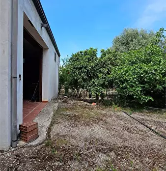 Foto annuncio 2