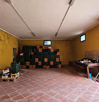 Foto annuncio 10