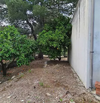 Foto annuncio 13
