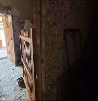 Foto annuncio 6