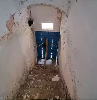 Foto annuncio 11