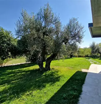 Foto annuncio 17