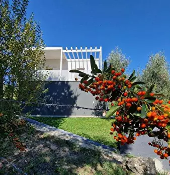 Foto annuncio 52