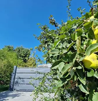 Foto annuncio 53