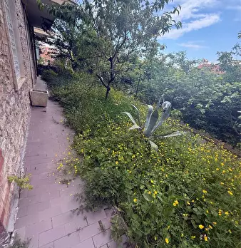 Foto annuncio 19