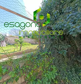 Foto annuncio 30