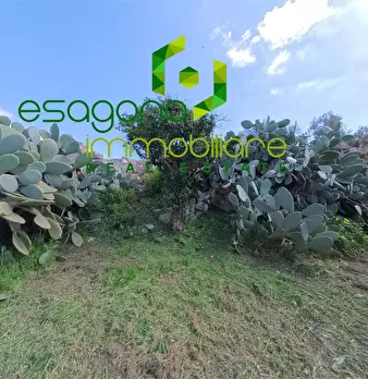 Foto annuncio 31