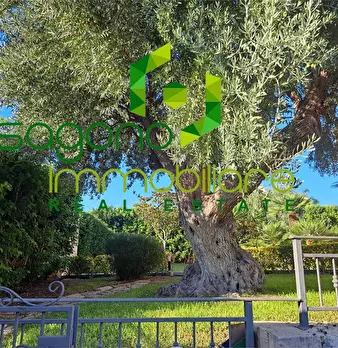 Foto annuncio 20