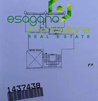Foto annuncio 7