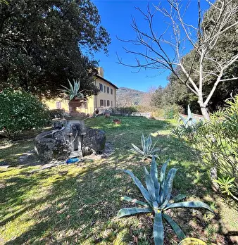 Foto annuncio 9