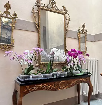 Foto annuncio 48