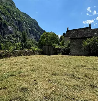 Foto annuncio 29
