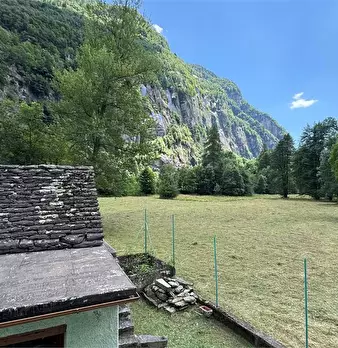 Foto annuncio 12