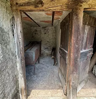Foto annuncio 28