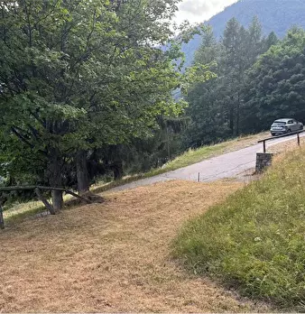 Foto annuncio 31
